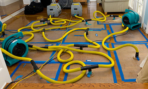 Professional Crawl Space Water Removal technician working in North Sandwich, NH